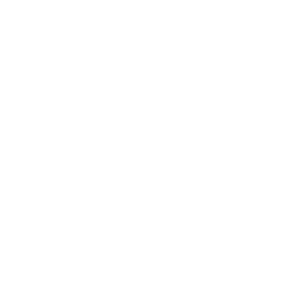 Dwight Light